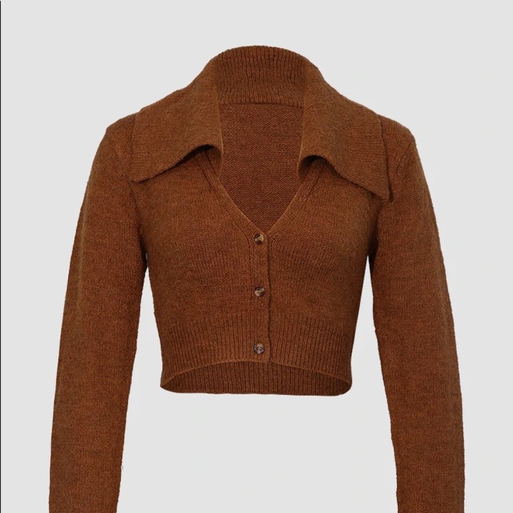 MICAS - Brown Knit Long Sleeve Crop Top